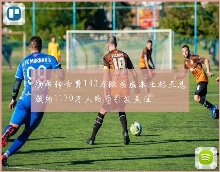 杨希转会费143万欧或成本土标王总额约1170万人民币引发关注