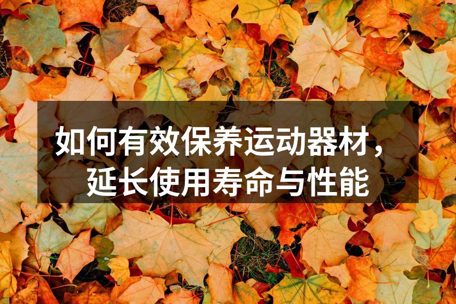 定期清洁运动器材是保养的关键